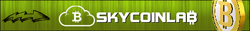 Skycoinlab banner
